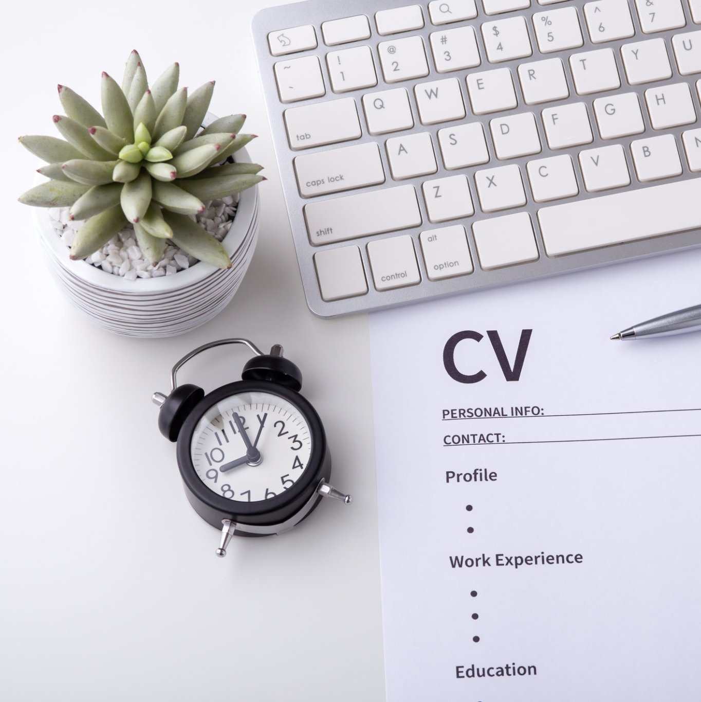 Professional CV’S